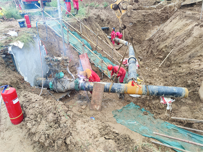 1758534907990811.jpg 微信图片_20250919100816_18_493.jpg